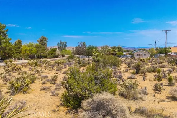 Yucca Valley, CA 92284,1234 Ivanhoe Drive