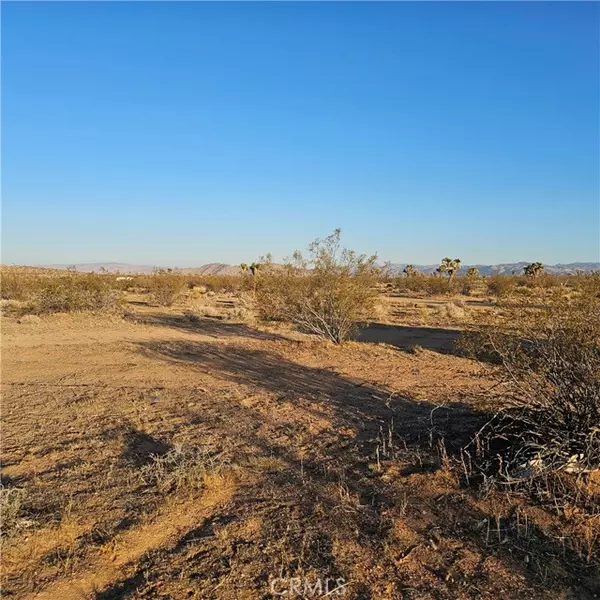 Yucca Valley, CA 92284,1234 El Rancho