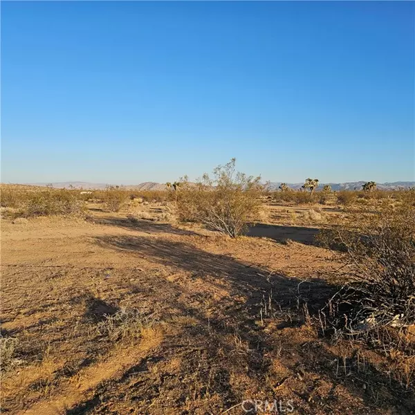 Yucca Valley, CA 92284,1234 El Rancho