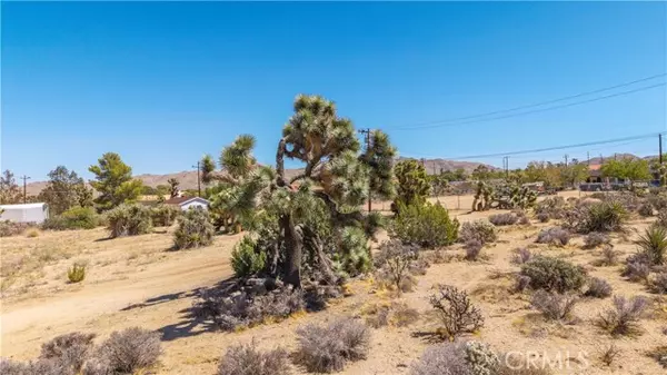 Yucca Valley, CA 92284,58323 Lisbon Drive