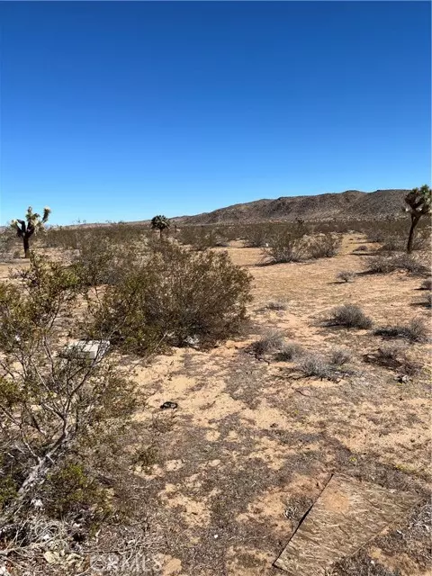 Landers, CA 92285,0 Avalon