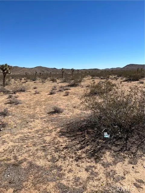 Landers, CA 92285,0 Avalon