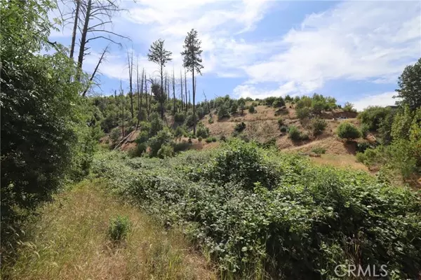Middletown, CA 95461,11231 Anderson Springs Road