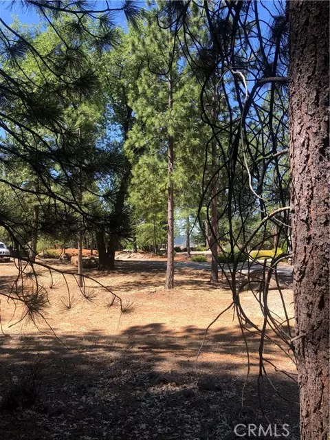 Cobb, CA 95426,8833 Fox Drive