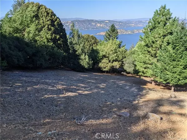 Kelseyville, CA 95451,8196 Broadview Drive