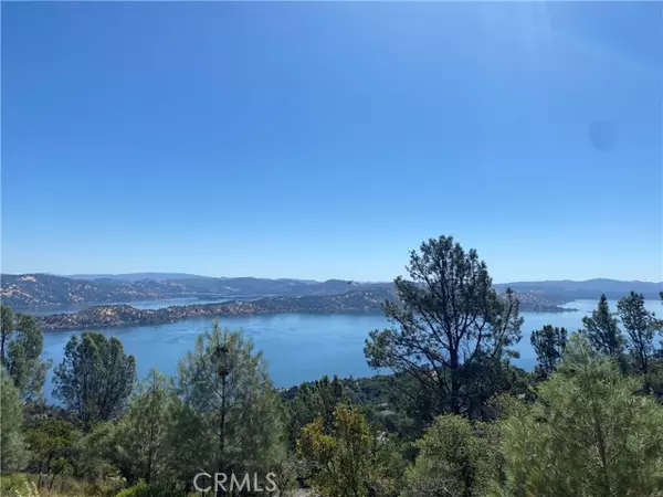 Kelseyville, CA 95451,3461 Pine Terrace Drive