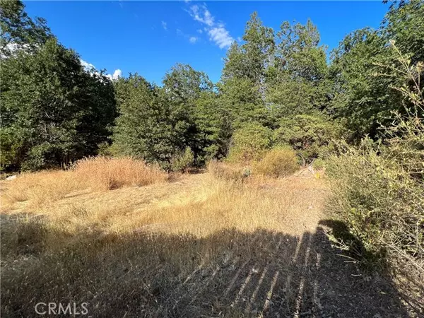 9204 Diamond Dust Trail, Kelseyville, CA 95451