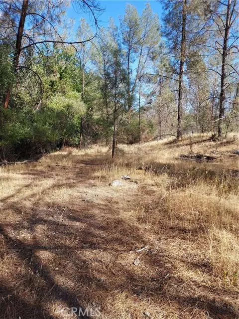 Clearlake Oaks, CA 95423,17750 Pomo