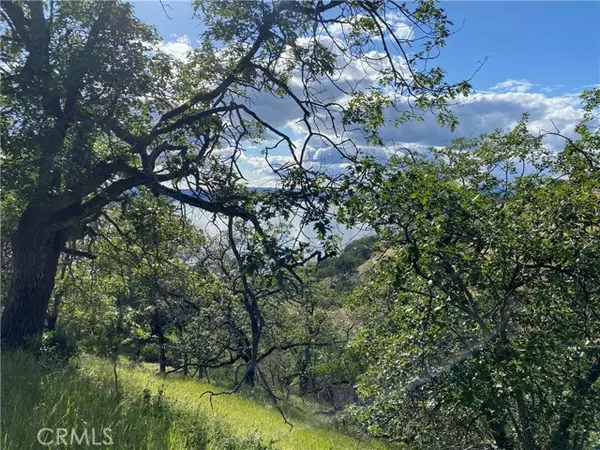 Glenhaven, CA 95443,7524 Bruner Drive