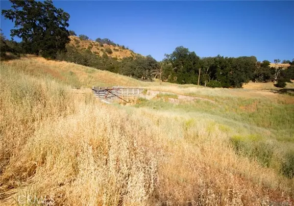 Lower Lake, CA 95457,20325 Morgan Valley Road