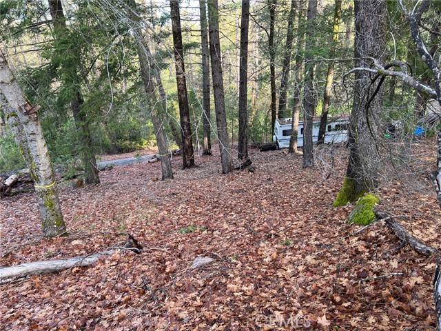 Loch Lomond, CA 95461,10280 Mulberry Street