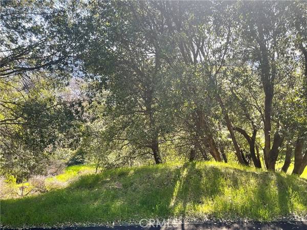 18580 Glenwood Road, Hidden Valley Lake, CA 95467