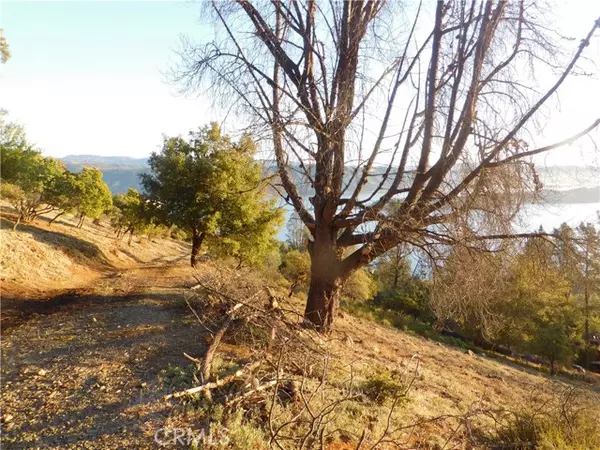 Kelseyville, CA 95451,8431 Mountain Crest Drive