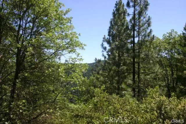 11070 Loch Lomond Road, Loch Lomond, CA 95461