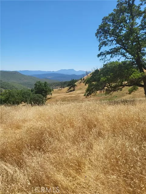 Lower Lake, CA 95457,21500 Morgan Valley Road