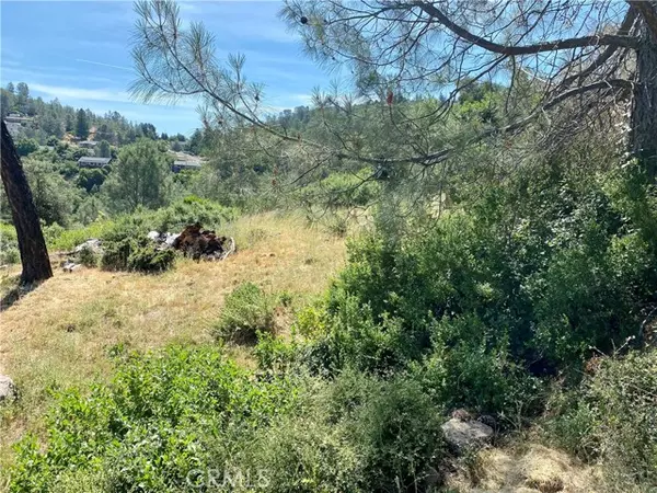 Kelseyville, CA 95451,4970 Iroquois Trail