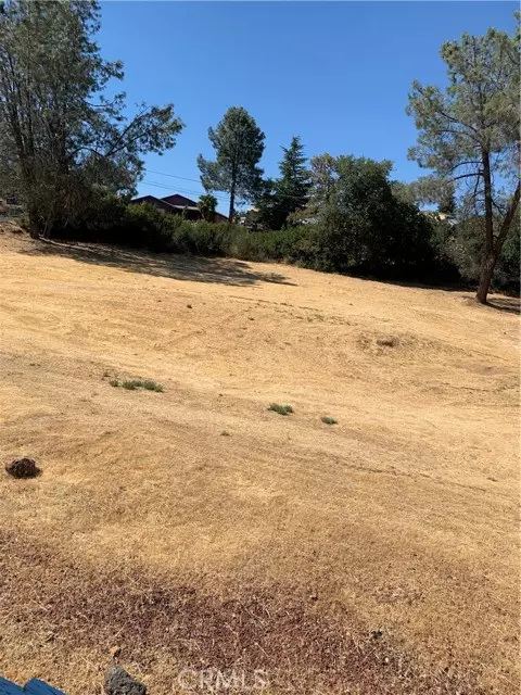 Kelseyville, CA 95451,10520 Divot Court