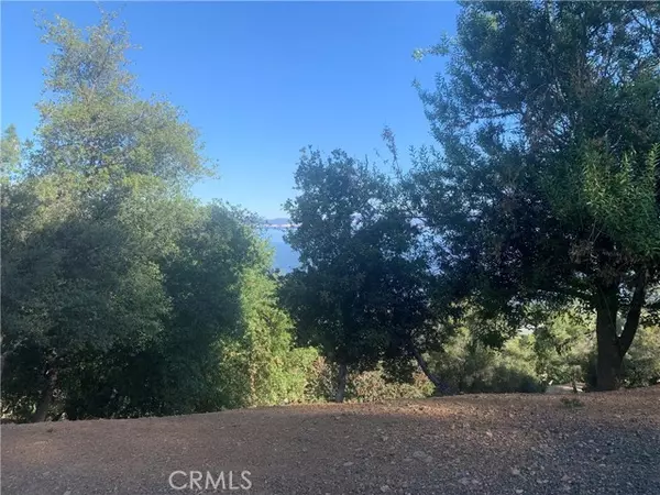 Kelseyville, CA 95451,3125 Skyline Drive