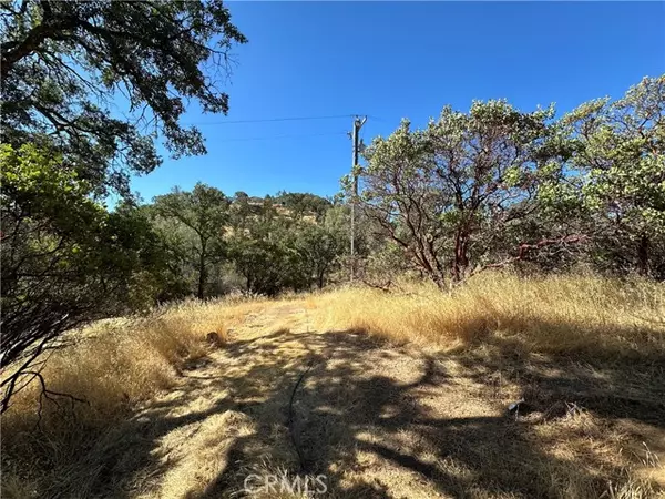 Clearlake Oaks, CA 95423,452 Watertrough Road