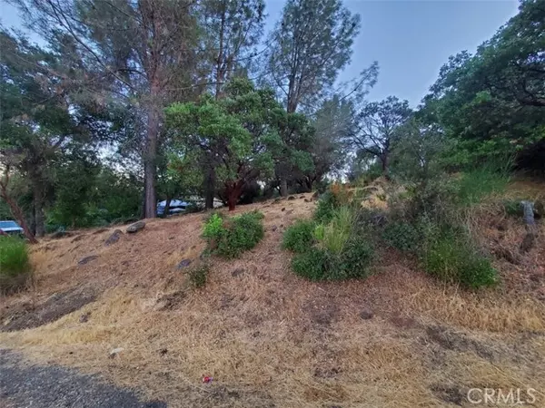 Hidden Valley Lake, CA 95467,17482 Deer Hill Road