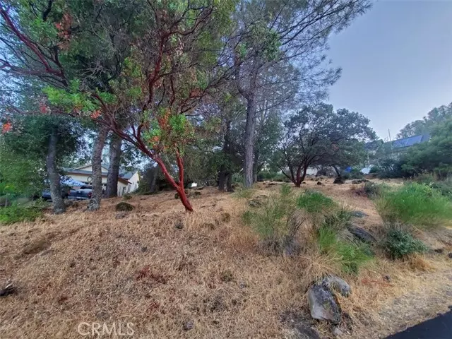 Hidden Valley Lake, CA 95467,17482 Deer Hill Road