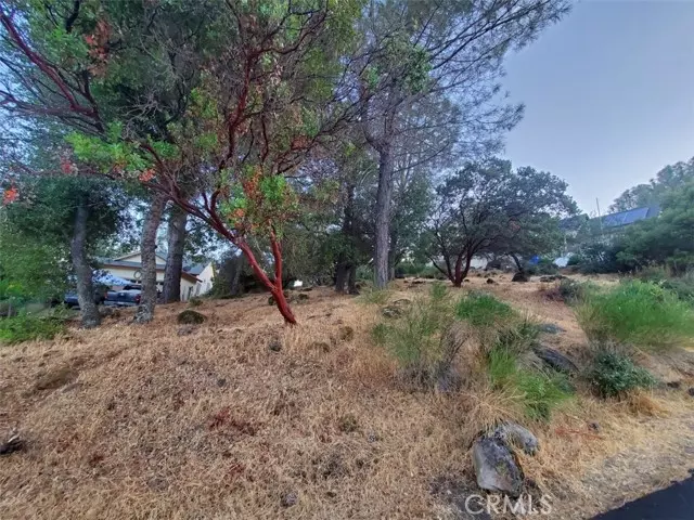 Hidden Valley Lake, CA 95467,17482 Deer Hill Road