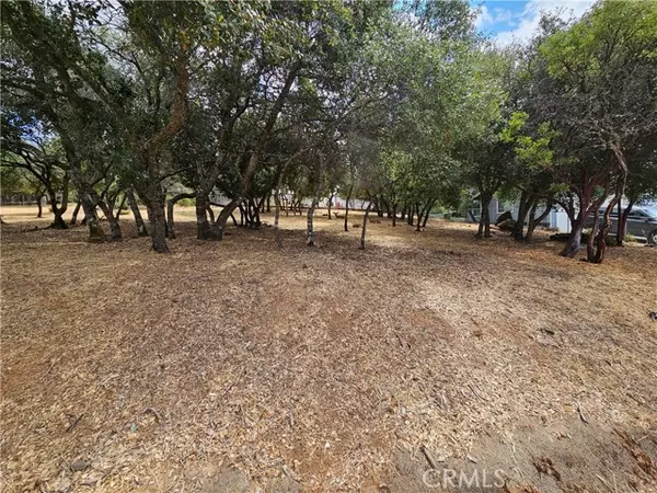 Kelseyville, CA 95451,9717 Mount Hood Way