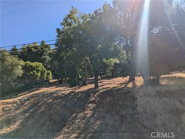 Kelseyville, CA 95451,2904 Riviera Heights Drive