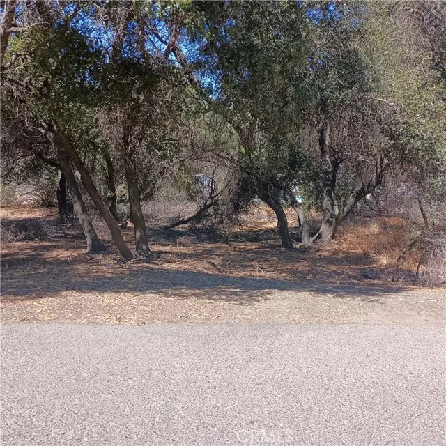 Clearlake, CA 95422,16244 13th