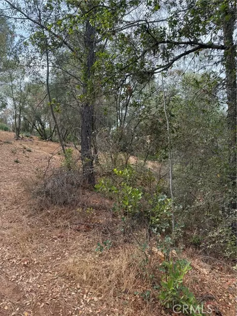 Clearlake, CA 95422,3475 Garfield Avenue