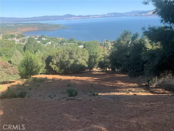 3125 Skyline Drive, Kelseyville, CA 95451