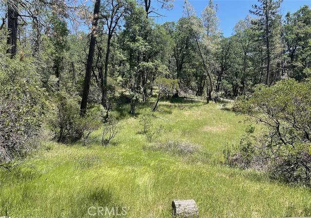 9660 Harrington Flat Road, Loch Lomond, CA 95461