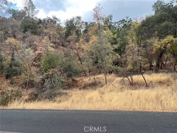 Clearlake, CA 95422,11285 North Drive