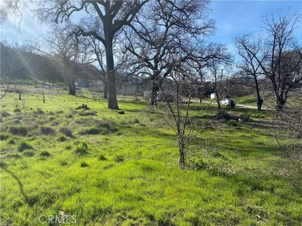 Lower Lake, CA 95457,16387 Daly Street