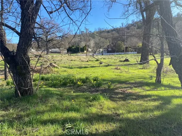 Lower Lake, CA 95457,16387 Daly Street