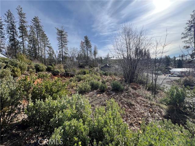 Cobb, CA 95426,16070 Pine Street