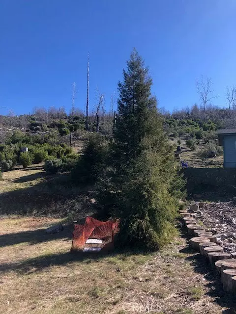 Cobb, CA 95426,15260 Evergreen Drive