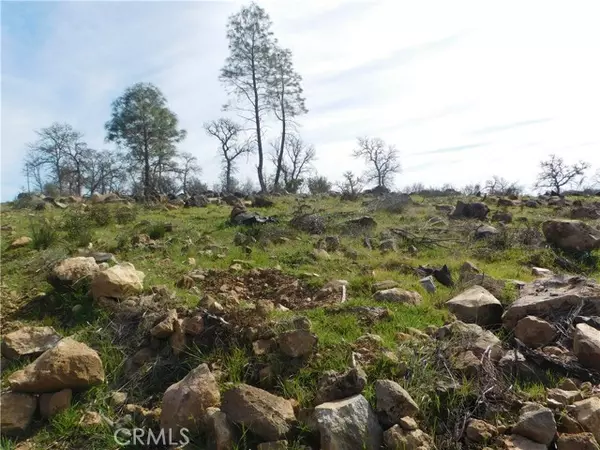 Clearlake, CA 95422,16533 3rd Avenue