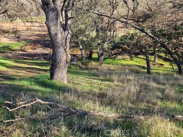 Clearlake, CA 95422,16277 42nd Avenue