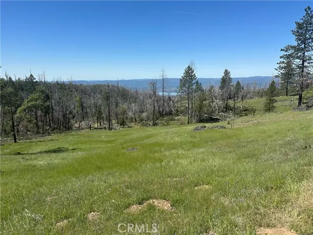 Lucerne, CA 95458,8191 Deer Valley Road
