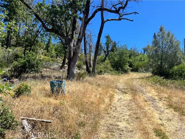 Cobb, CA 95426,10725 Gifford Springs Road