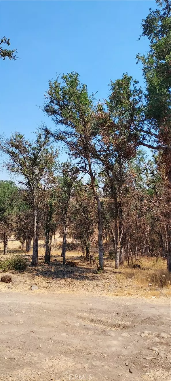 16034 13th Avenue, Clearlake, CA 95422