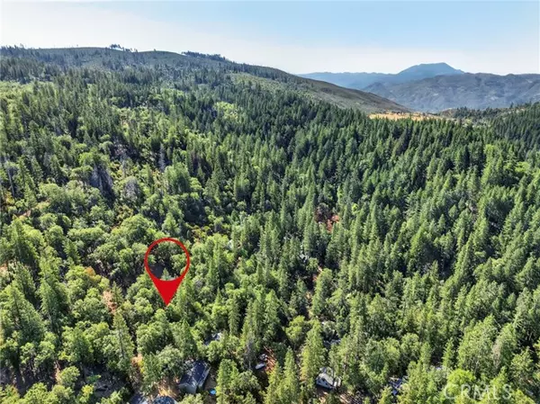 Cobb, CA 95426,16370 Manzanita Court