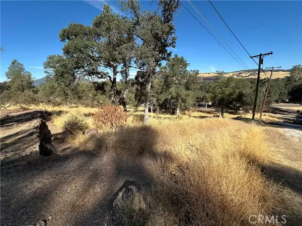 Clearlake, CA 95422,3503 Filmore Avenue