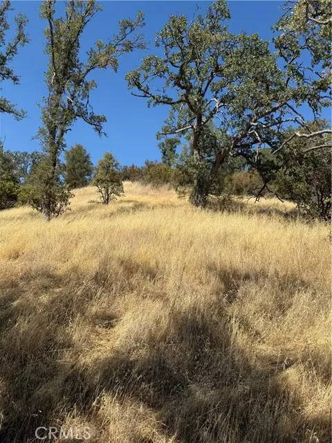 Clearlake, CA 95422,4722 Arroyo Avenue