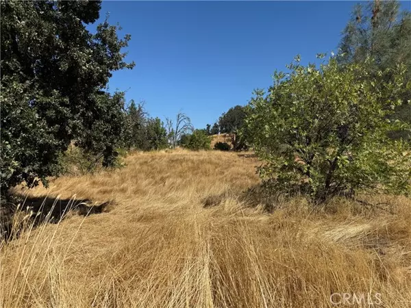 Lower Lake, CA 95457,16440 Rose Street