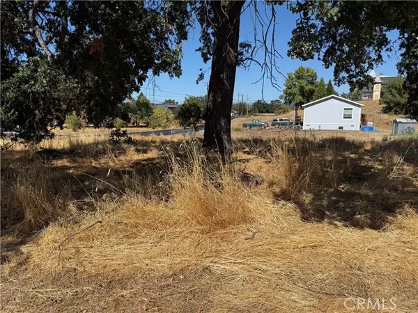 Lower Lake, CA 95457,16440 Rose Street