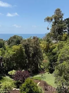 686 Diamond Street, Laguna Beach, CA 92651