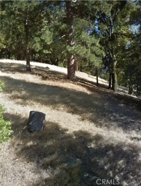 Cedarpines Park, CA 92322,0 MOJAVE RIVER RD