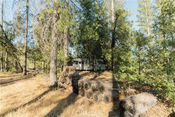 Coulterville, CA 95311,10902 Stout Lane